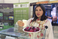 Учёные НИУ «БелГУ» запатентовали способ получения йогурта с повышенной биологической ценностью